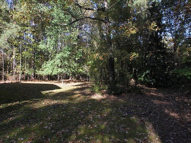 152 Stagecrest Drive Raleigh, NC 27603 - Photo 12 of 14 a view of a forest with trees