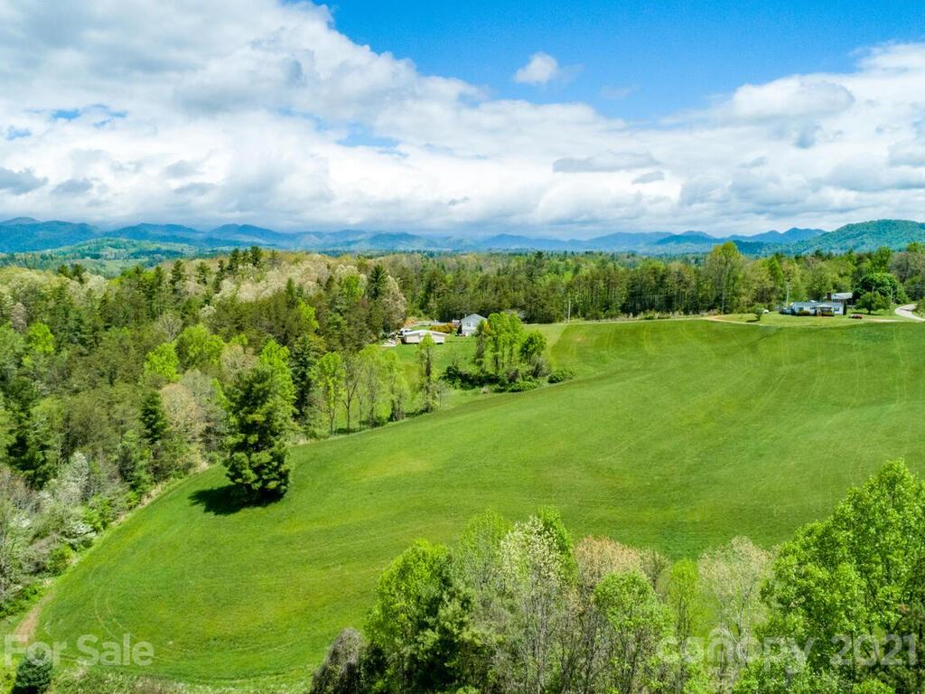 9999 Locust Grove Road Weaverville, NC 28787 - Photo 8 of 20 Gallery Image 8