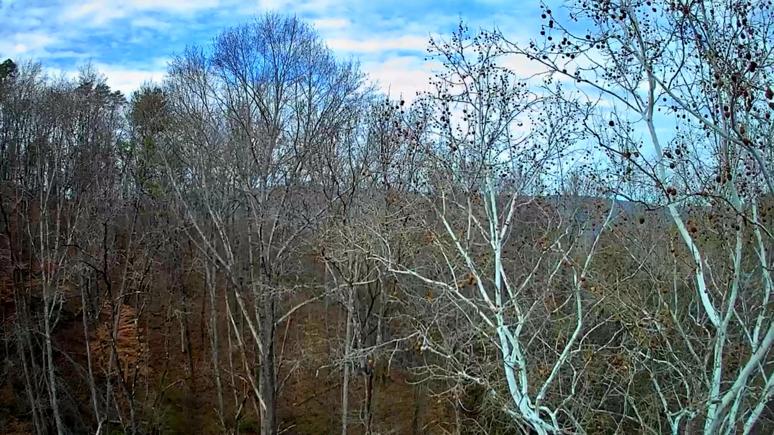 8815 Gann Road, Unit 4 Soddy Daisy, TN 37379 - Photo 12 of 13 IMG_20260122_1422007