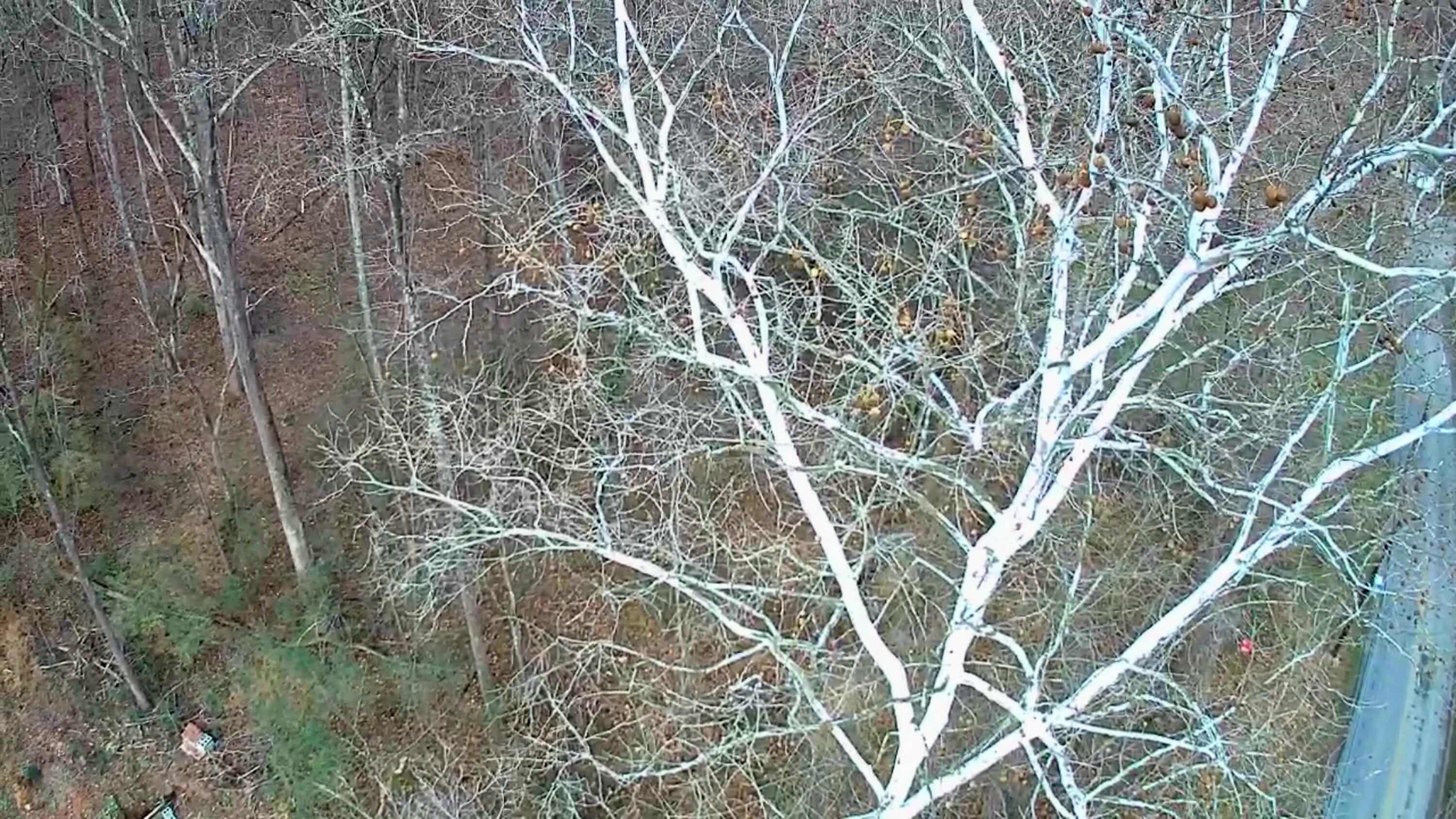 8815 Gann Road, Unit 4 Soddy Daisy, TN 37379 - Photo 9 of 13 IMG_20260122_1422035