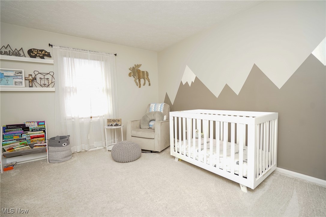 8651 King Graves Road Northeast Warren, OH 44484 - Photo 7 of 24 Carpeted bedroom with a crib
