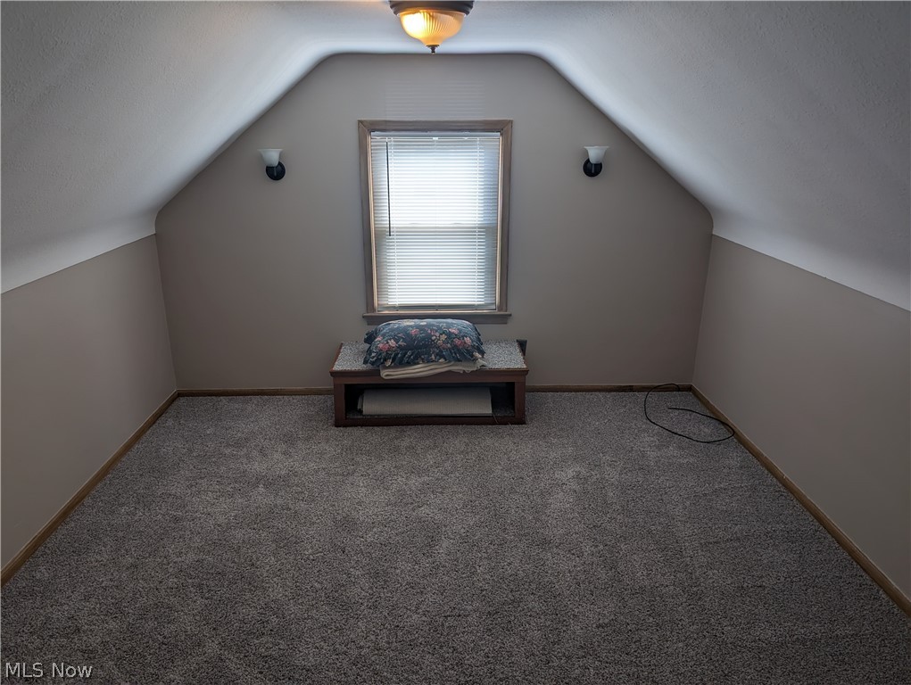 30213 Barjode Road Willowick, OH 44095 - Photo 18 of 20 Bonus room with carpet floors and vaulted ceiling