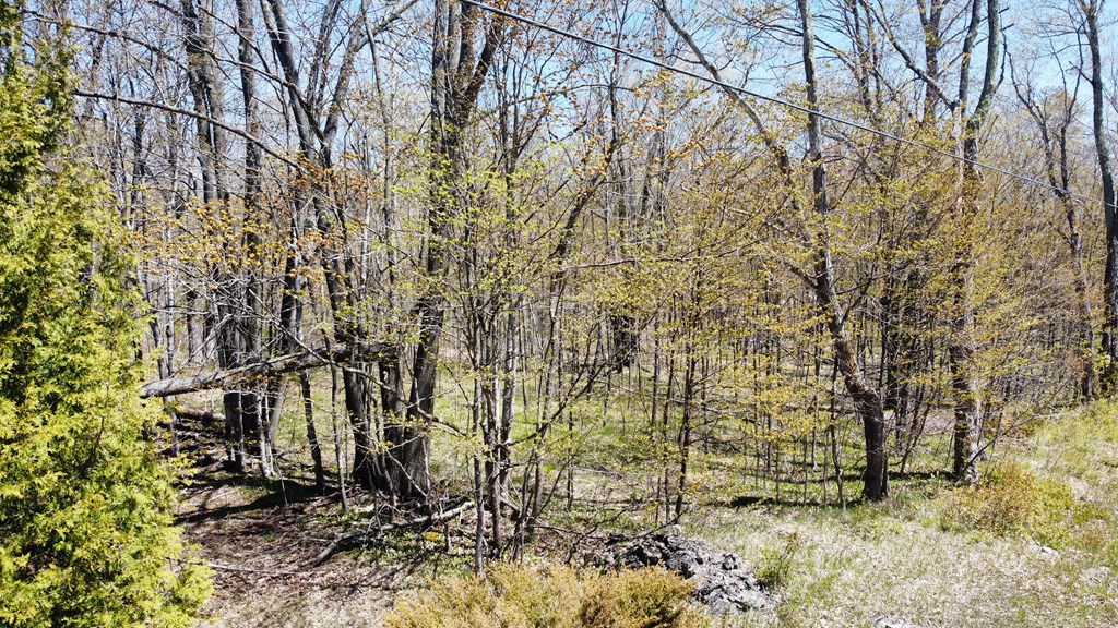 Maple Grove East Fish Creek, WI 54212 - Photo 7 of 7
