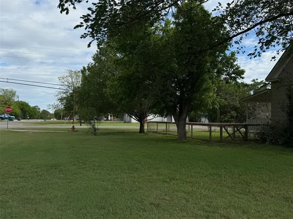 a garden view with a trees
