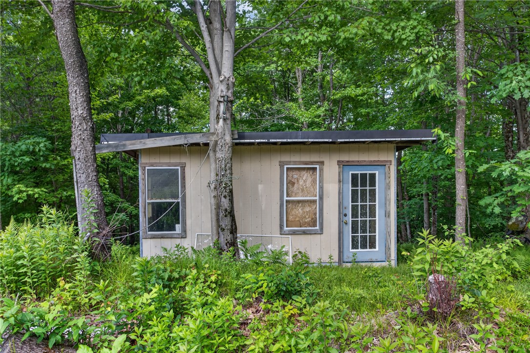201 Sunrise Mountain Road Kortright, NY 13739 - Photo 28 of 49