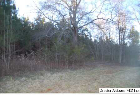 66 County Road, Unit 50 Woodland, AL 36280 - Photo 5 of 12