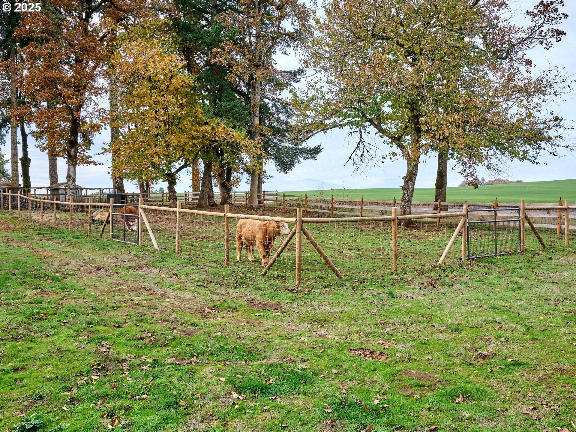 6288 Sherman Road Southeast Aumsville, OR 97325 - Photo 31 of 45 a backyard of a house with lots of green space