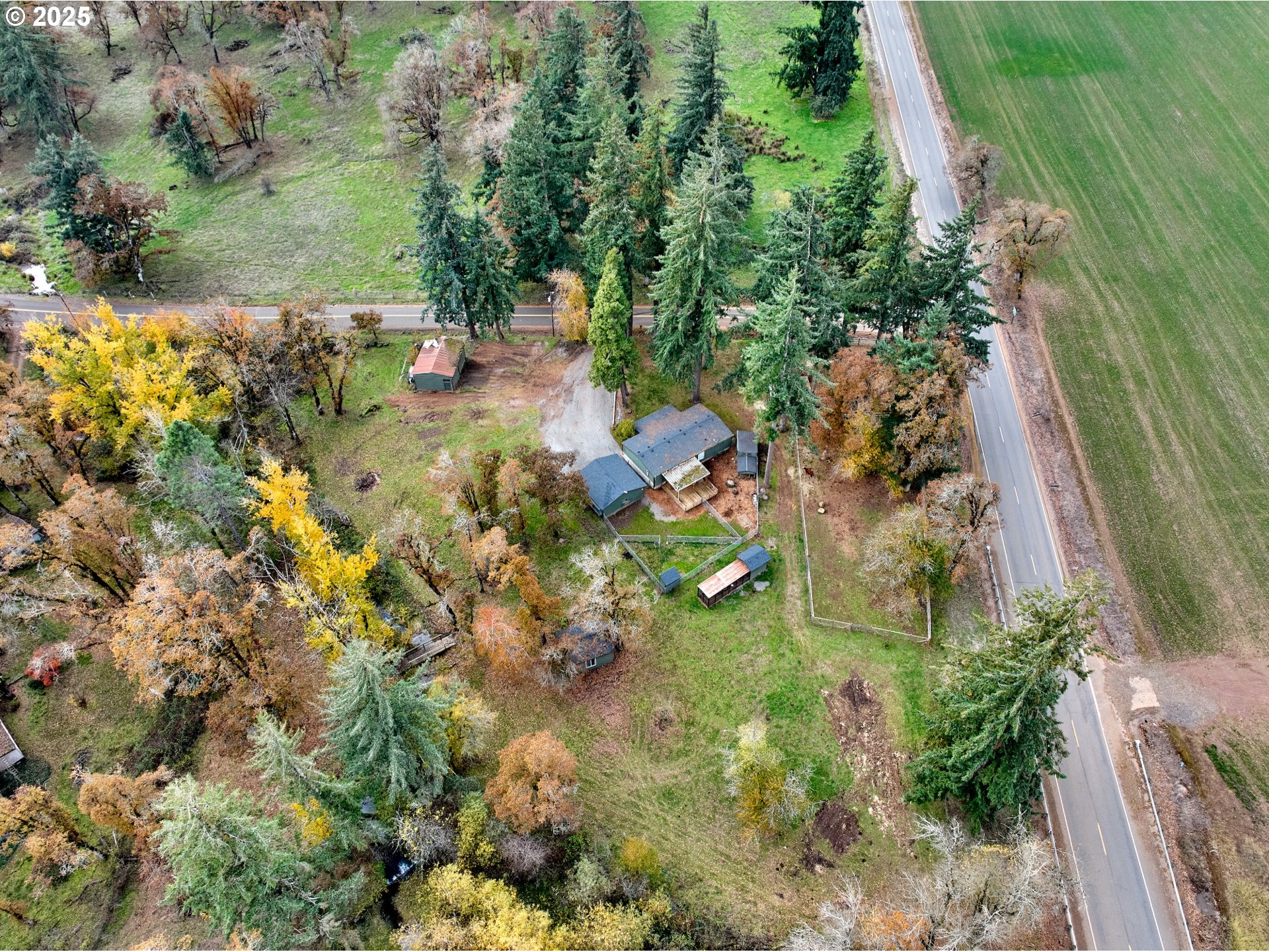 6288 Sherman Road Southeast Aumsville, OR 97325 - Photo 38 of 45 a plant that is in a garden