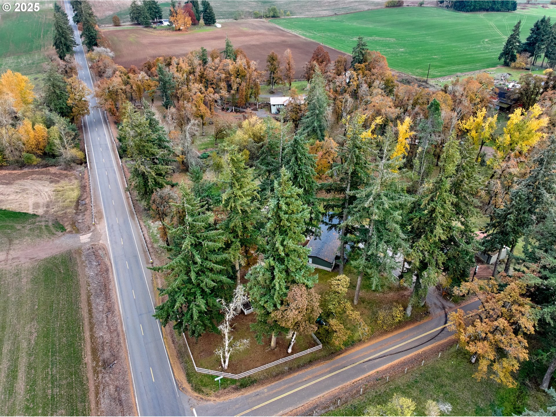 6288 Sherman Road Southeast Aumsville, OR 97325 - Photo 40 of 45 a view of a yard with potted plants