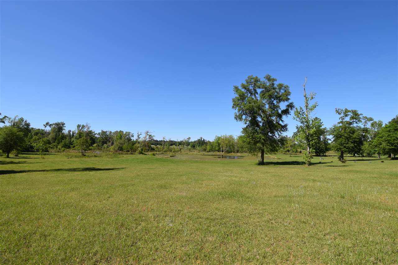 618 Still Road Monticello, FL 32344 - Photo 27 of 36 Gallery Image 27
