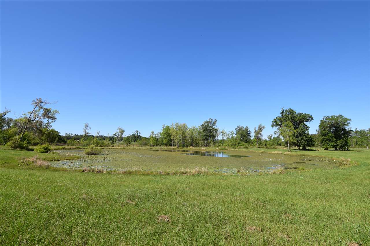 618 Still Road Monticello, FL 32344 - Photo 31 of 36 Gallery Image 31