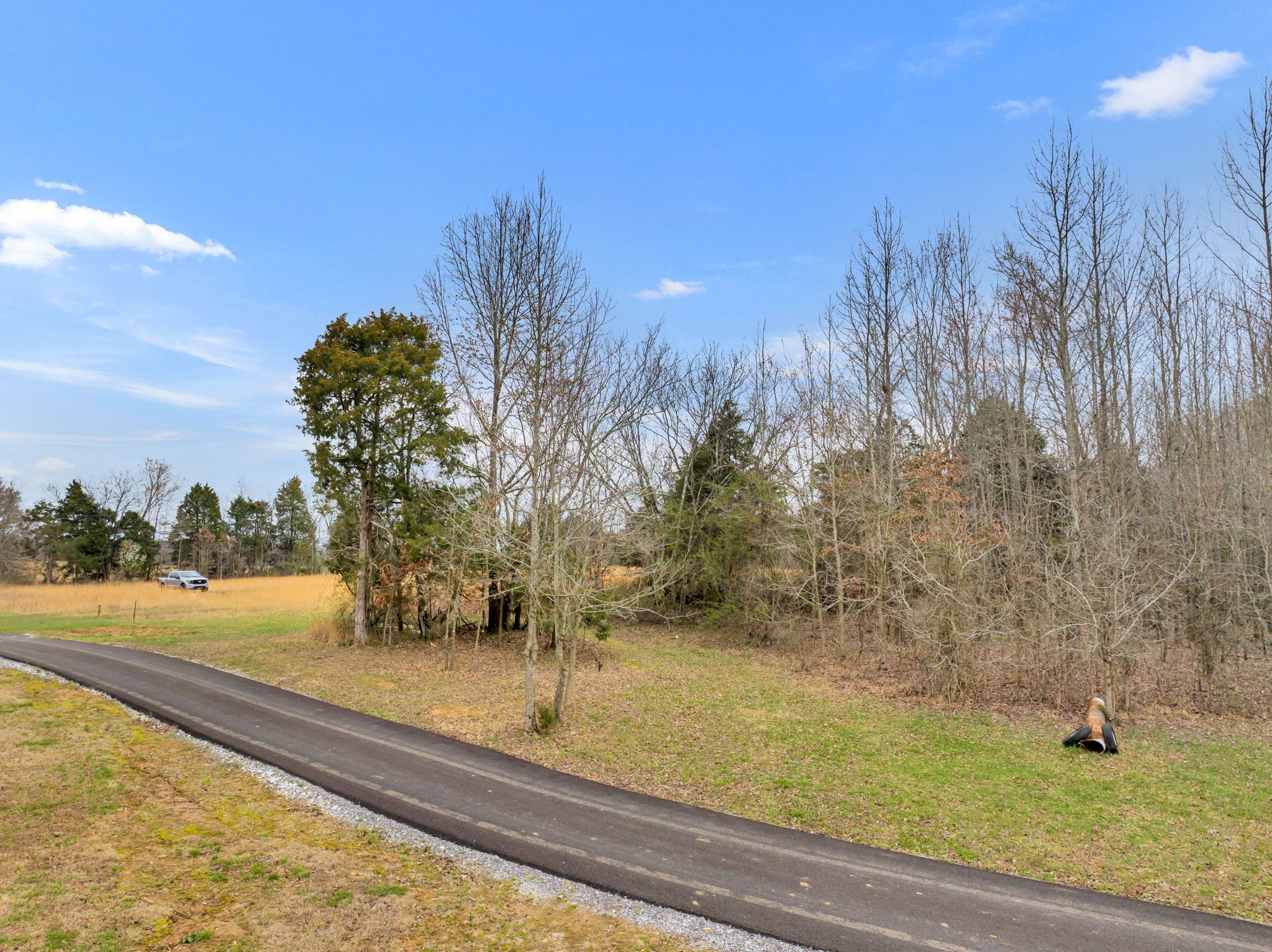 0 Maxey Road Cedar Hill, TN 37032 - Photo 11 of 16 Gallery Image 11