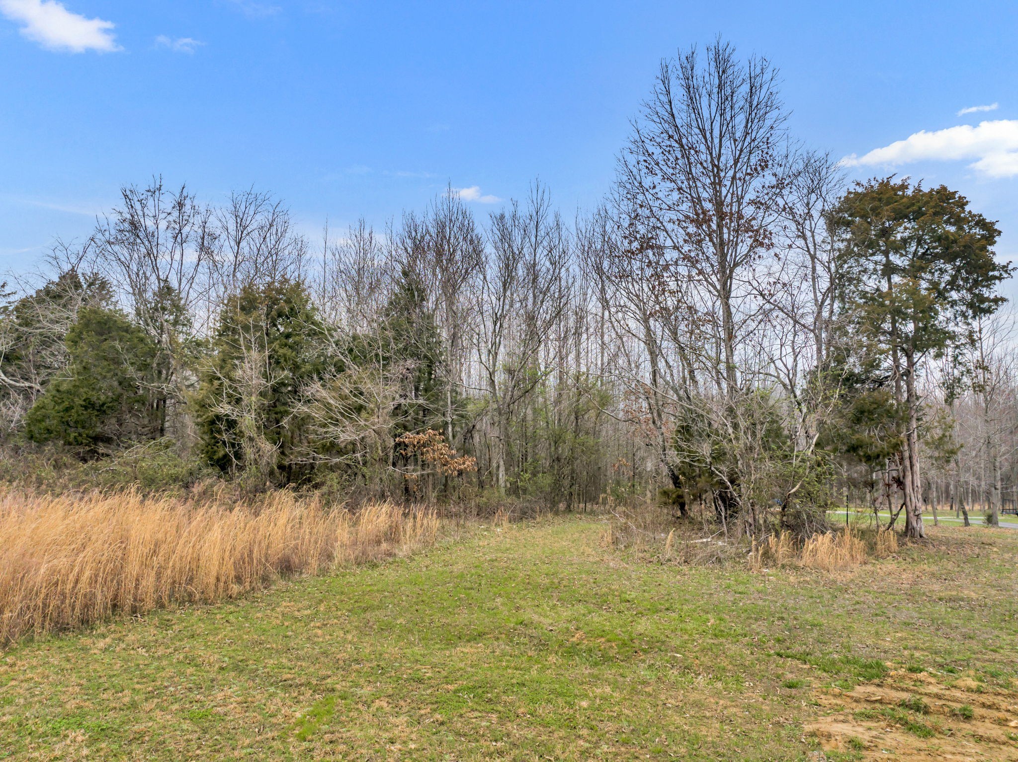 0 Maxey Road Cedar Hill, TN 37032 - Photo 13 of 16 Gallery Image 13