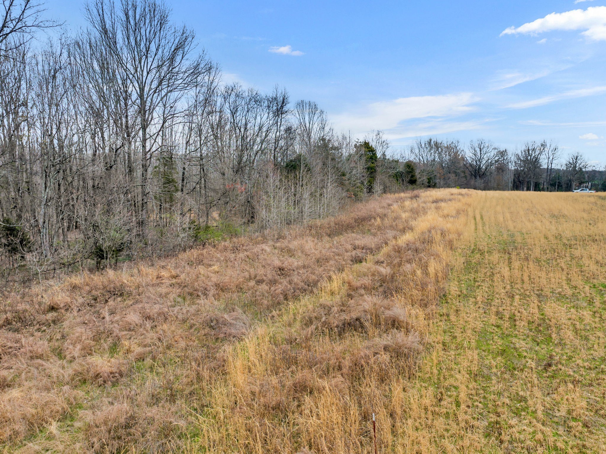 0 Maxey Road Cedar Hill, TN 37032 - Photo 14 of 16 Gallery Image 14