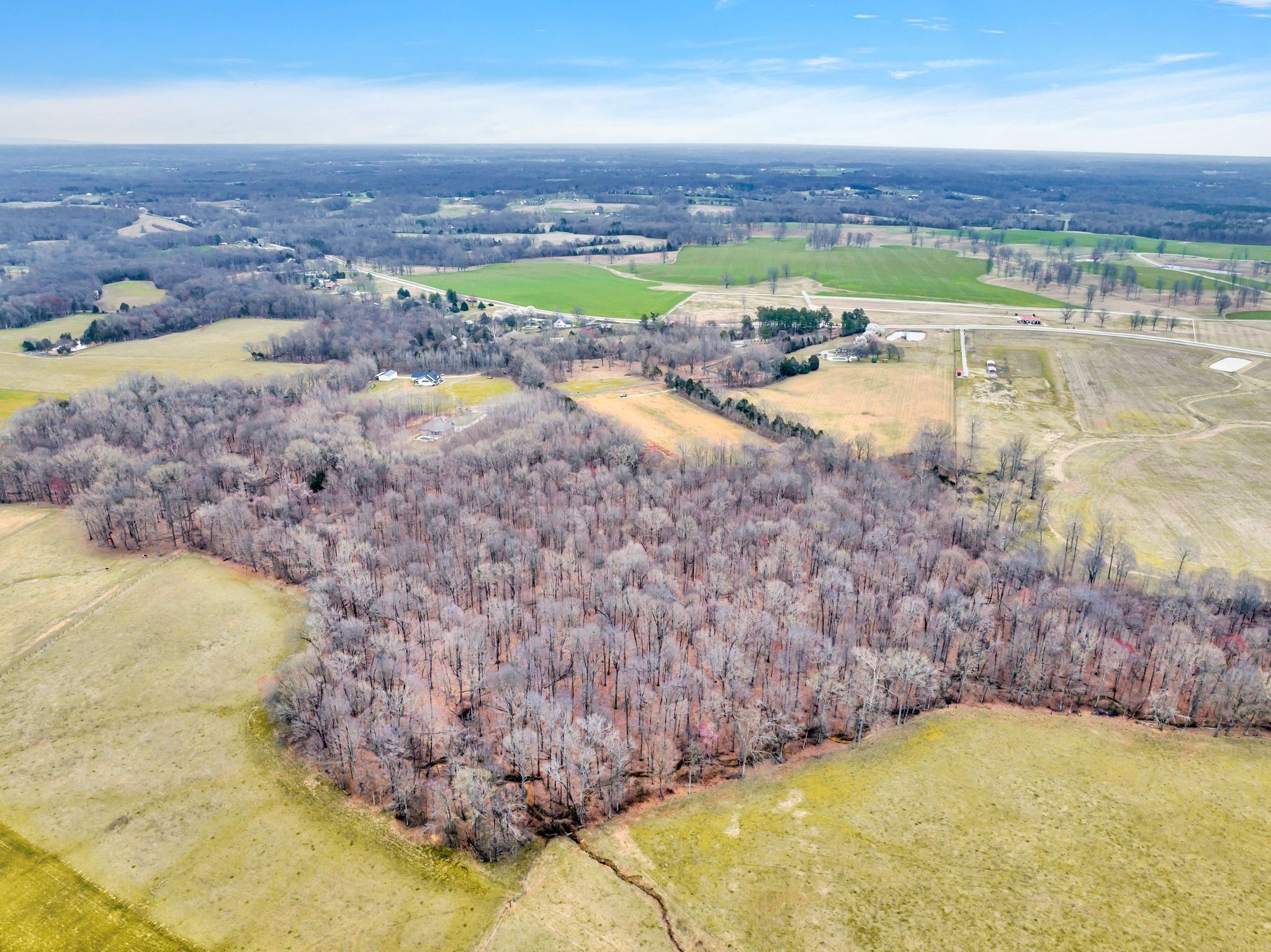 0 Maxey Road Cedar Hill, TN 37032 - Photo 8 of 16 Gallery Image 8