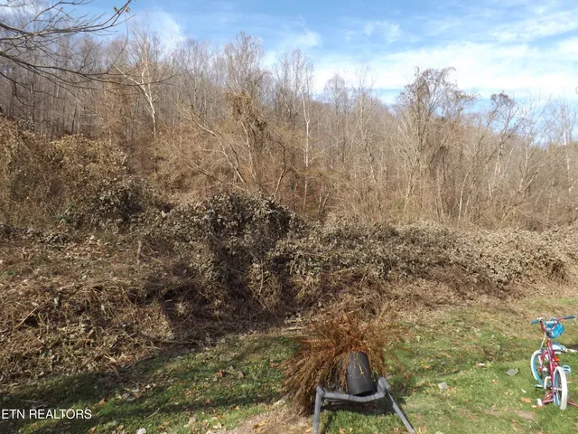 $200,000 | 85 Bairds Lane, Evarts, KY 40828