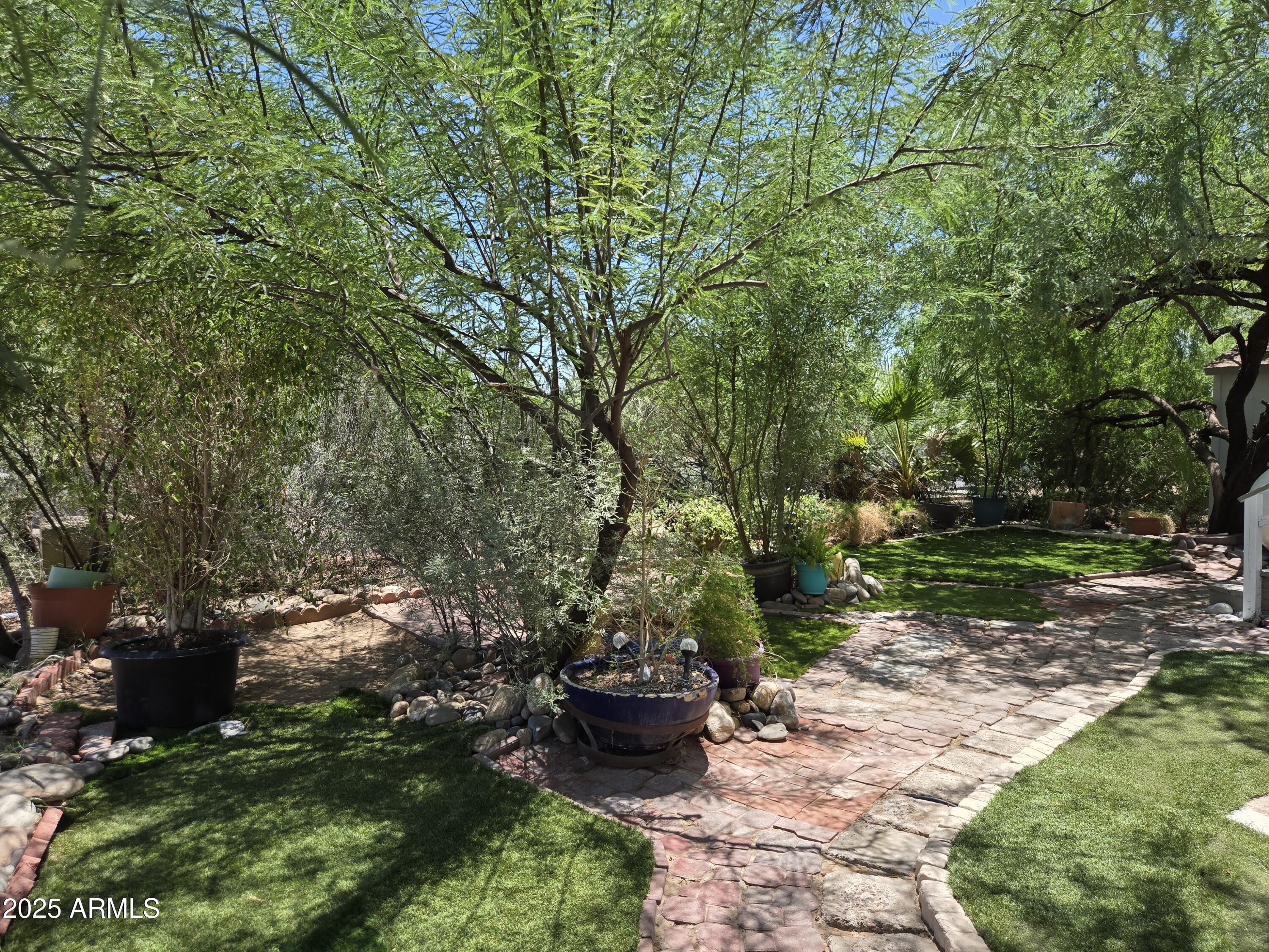 2000 South Apache Road, Unit 87 Buckeye, AZ 85326 - Photo 27 of 29 a view of a backyard with fountain plants and large trees