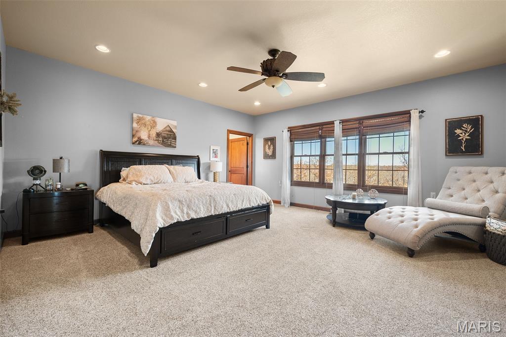 141 West Hickory Ridge Road Steelville, MO 65565 - Photo 35 of 77