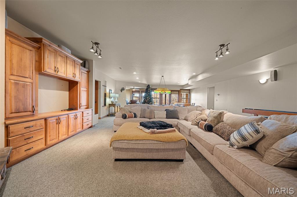 141 West Hickory Ridge Road Steelville, MO 65565 - Photo 42 of 77