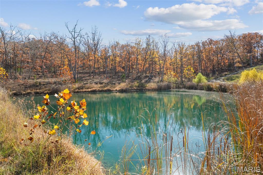 141 West Hickory Ridge Road Steelville, MO 65565 - Photo 61 of 77