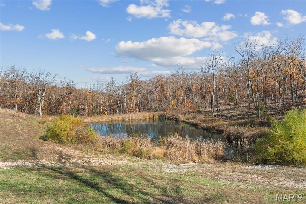 141 West Hickory Ridge Road Steelville, MO 65565 - Photo 62 of 77