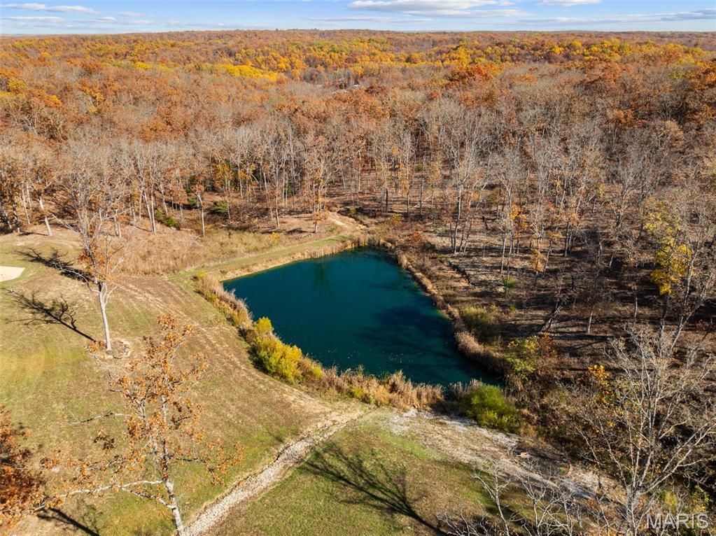 141 West Hickory Ridge Road Steelville, MO 65565 - Photo 70 of 77