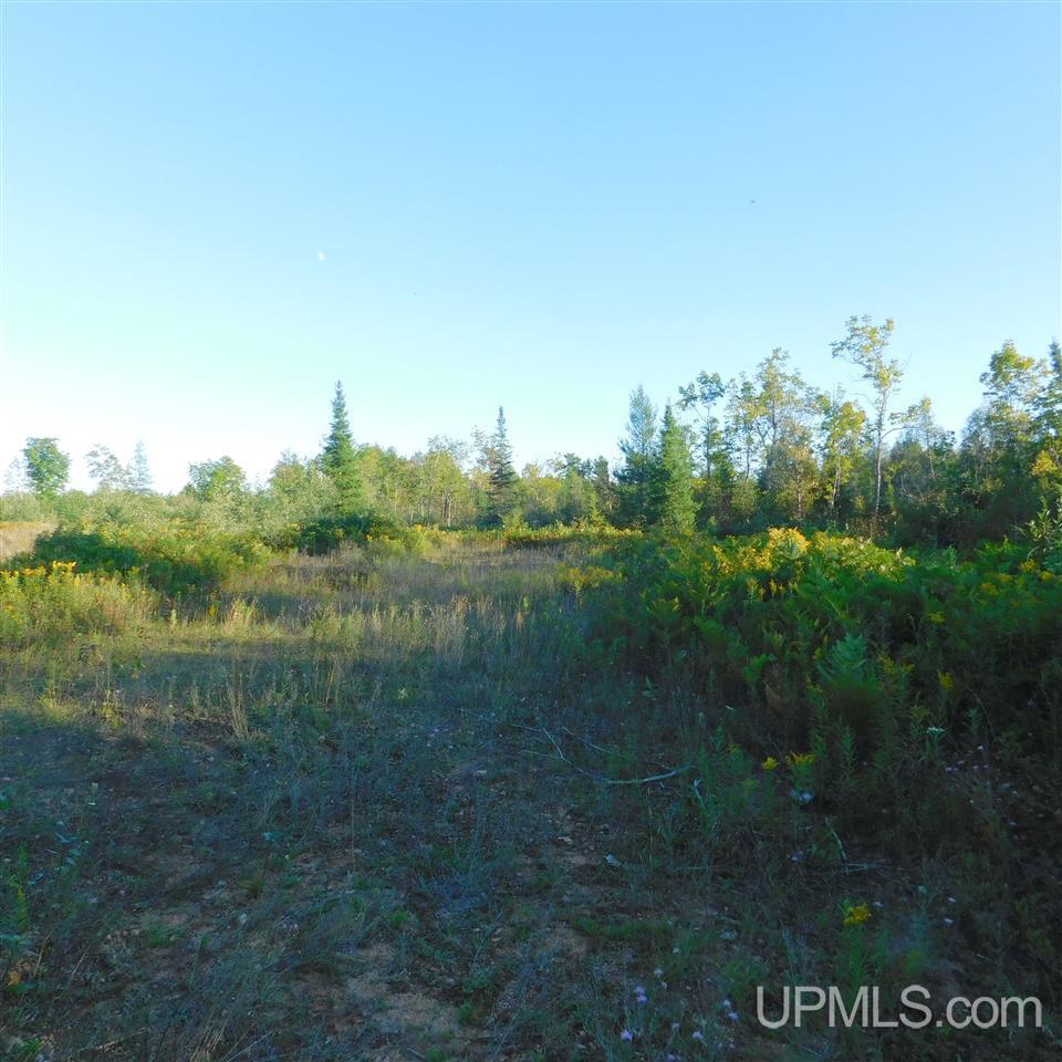 Tbd Off Murray Road Perronville, MI 49873 - Photo 23 of 27