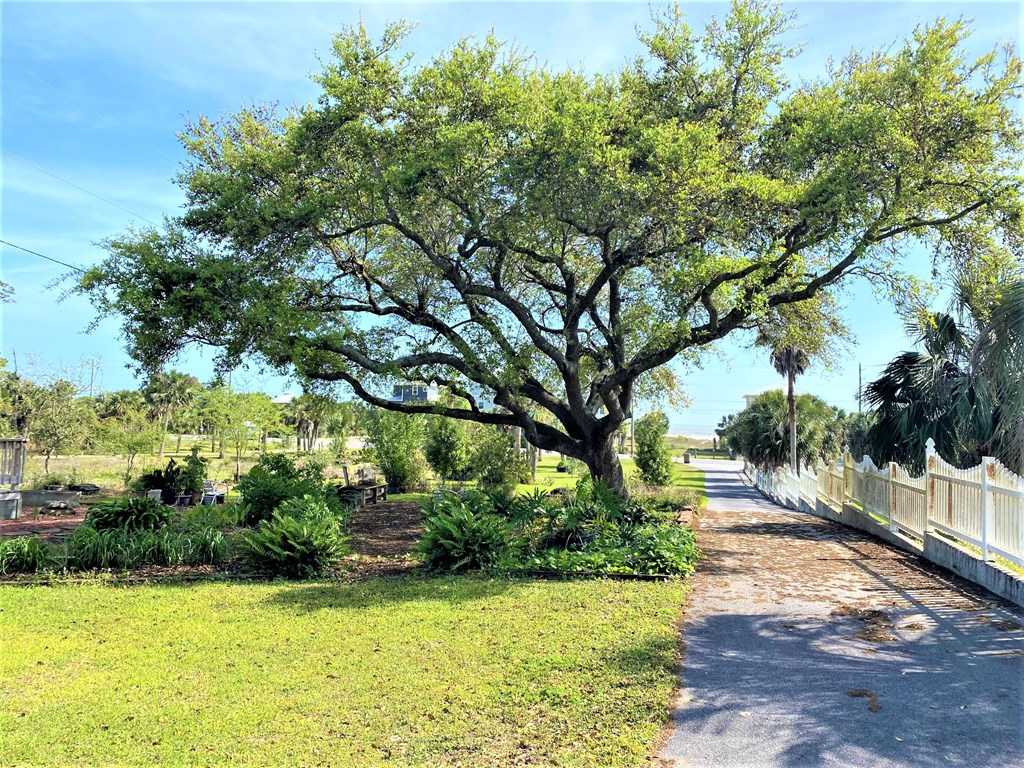1145 Indian Pass Road, Unit A Port St. Joe, FL 32456 - Photo 16 of 43