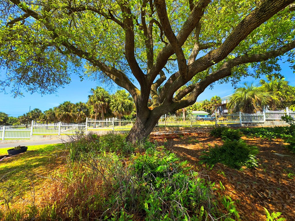 1145 Indian Pass Road, Unit A Port St. Joe, FL 32456 - Photo 4 of 43