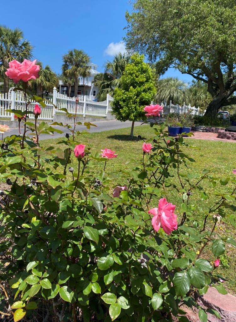 1145 Indian Pass Road, Unit A Port St. Joe, FL 32456 - Photo 7 of 43