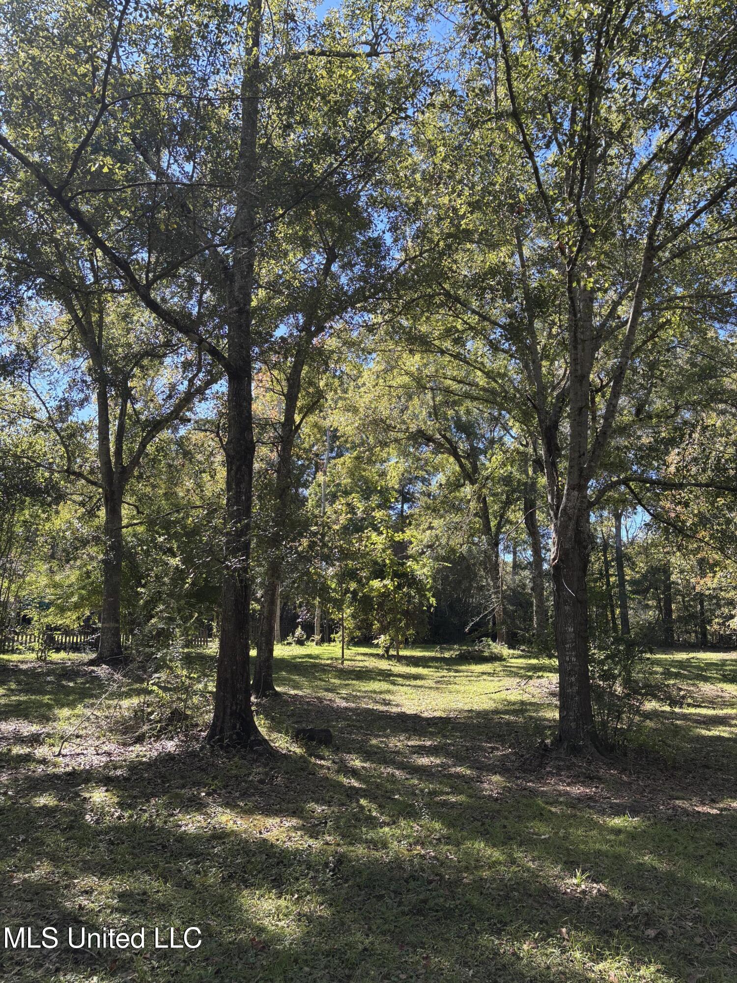 1316 Homestead Boulevard Gautier, MS 39553 - Photo 10 of 40 IMG_5661