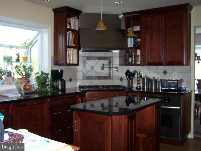 605 Ridgewell Way Silver Spring, MD 20902 - Photo 4 of 6 Kitchen #3