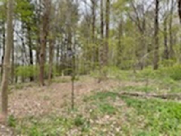 20 Spring Street Ipswich, MA 01938 - Photo 23 of 27 Gallery Image 23