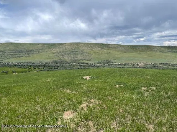 a view of a big yard with lots of green space