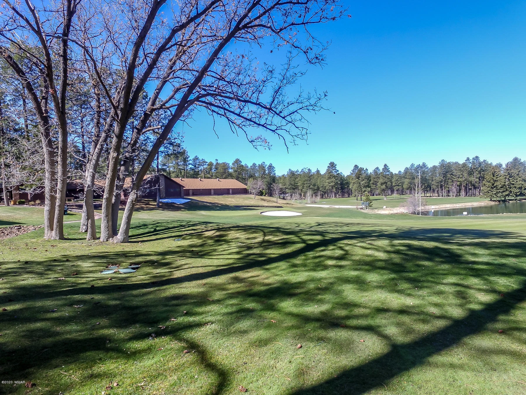 2867 Aspen Loop Pinetop, AZ 85935 - Photo 105 of 140 Gallery Image 105