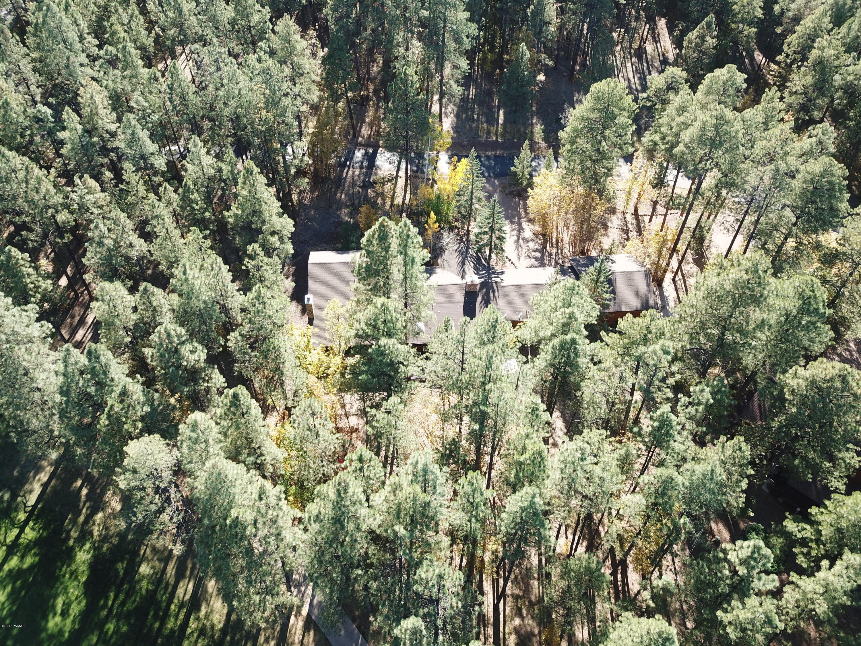 2867 Aspen Loop Pinetop, AZ 85935 - Photo 117 of 140 Gallery Image 117
