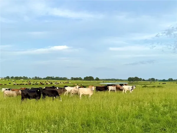 a view of a lake with houses in the background