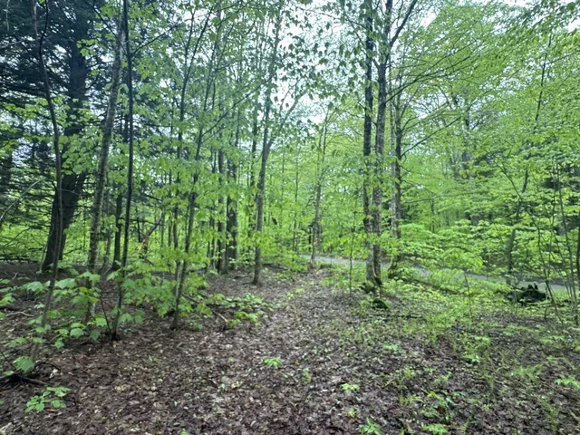 $1,310,000 | 1585 Amidon Road, Unit 1 2 3, Montgomery, VT 05471