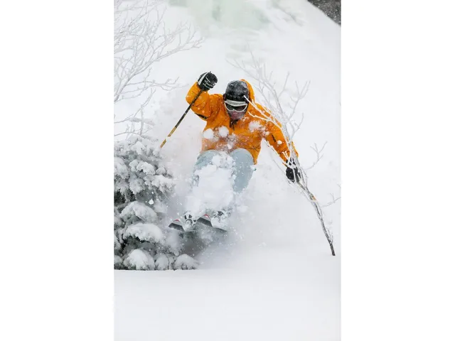 $1,310,000 | 1585 Amidon Road, Unit 1 2 3, Montgomery, VT 05471