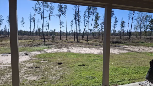 a view of a pathway in a yard