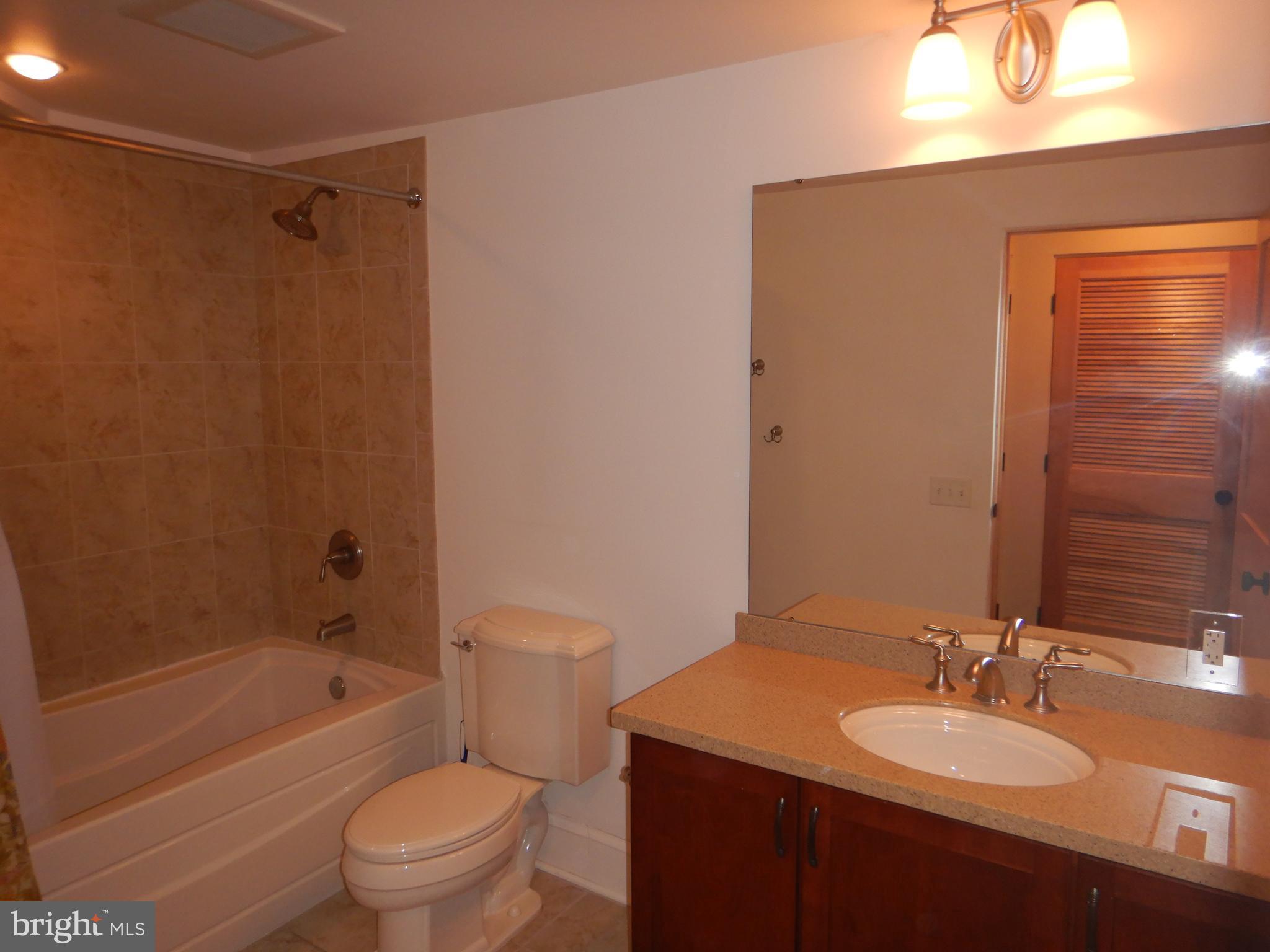 9610 Dewitt Drive, Unit B105 Silver Spring, MD 20910 - Photo 4 of 10 Bathroom