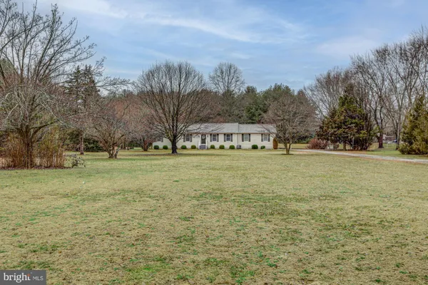 a view of a grassy field with an trees