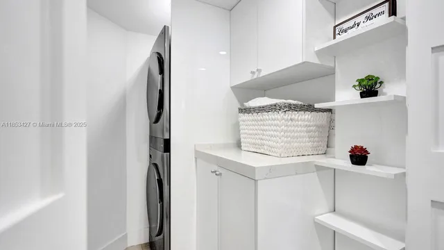 a view of walk in closet with window and potted plant