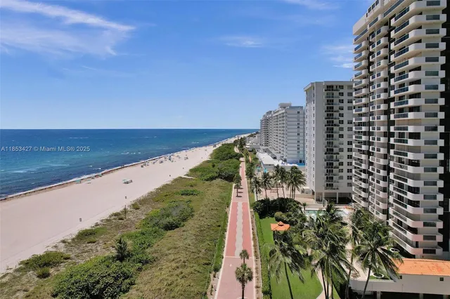 a view of a yard with plants