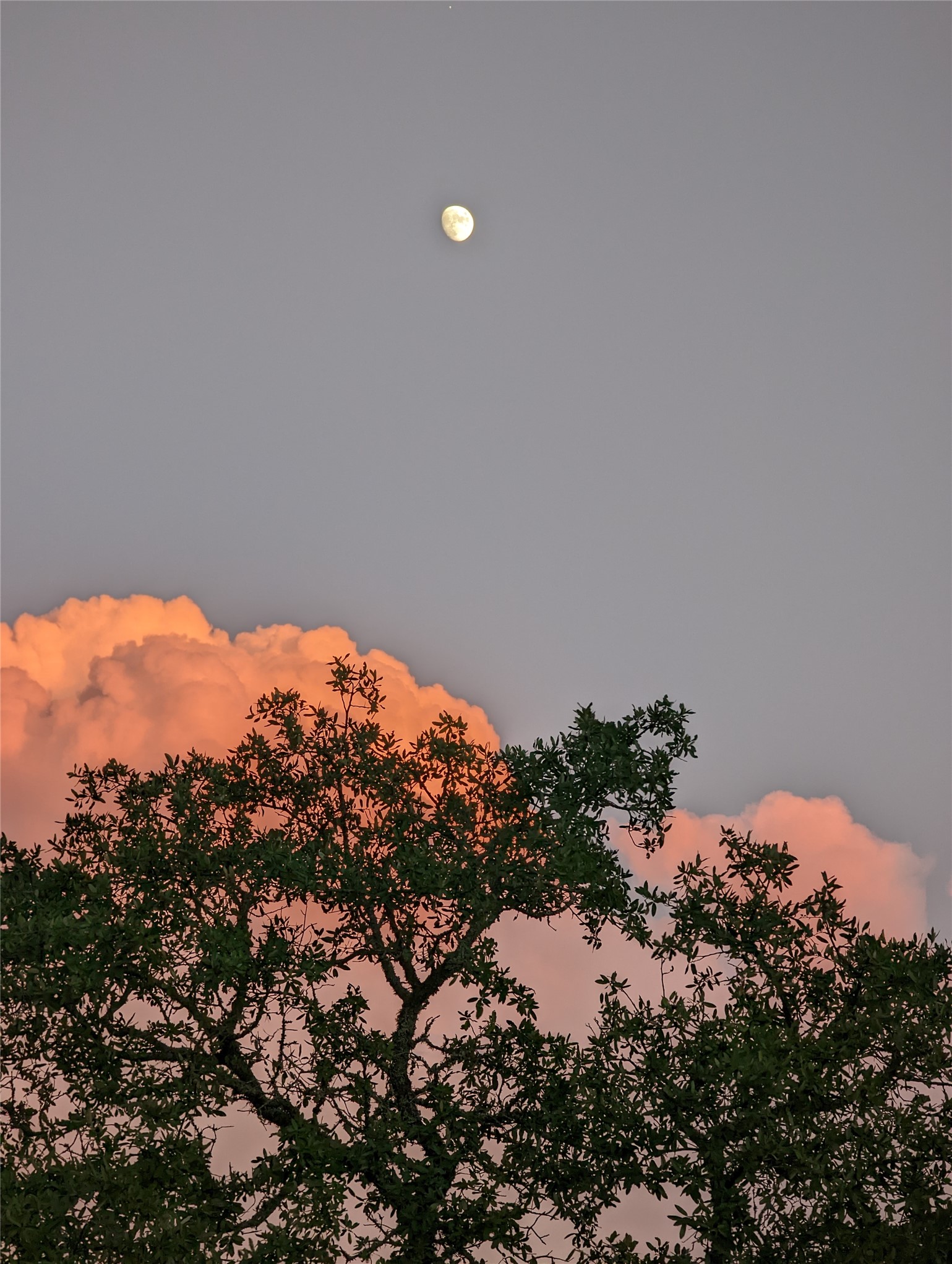 180 Robison Road Bertram, TX 78605 - Photo 6 of 12 View of mountain backdrop