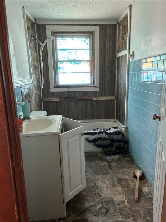 355 Whitfield Drive Dallas, GA 30132 - Photo 10 of 18 a bathroom with a tub a sink a window and a shower