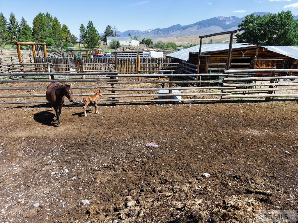 26 Haynes Creek Road Salmon, ID 83467 - Photo 24 of 90