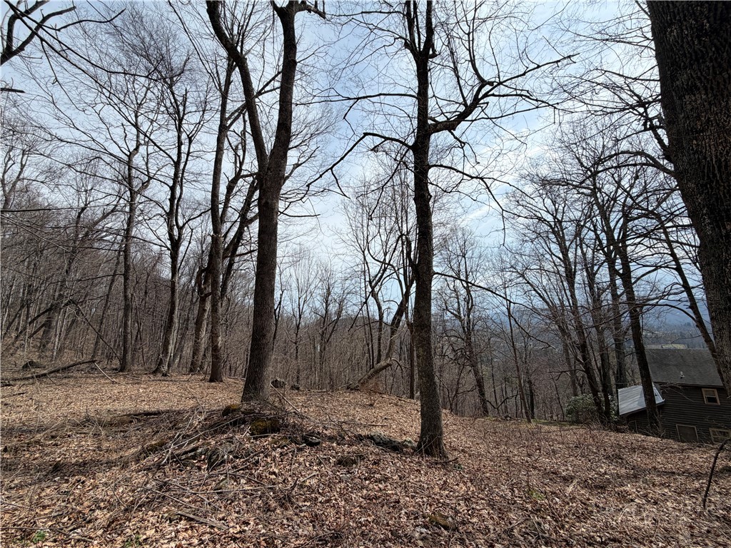 Rocky Mountain Road Boone, NC 28607 - Photo 3 of 21 a backyard of a house with lots of trees
