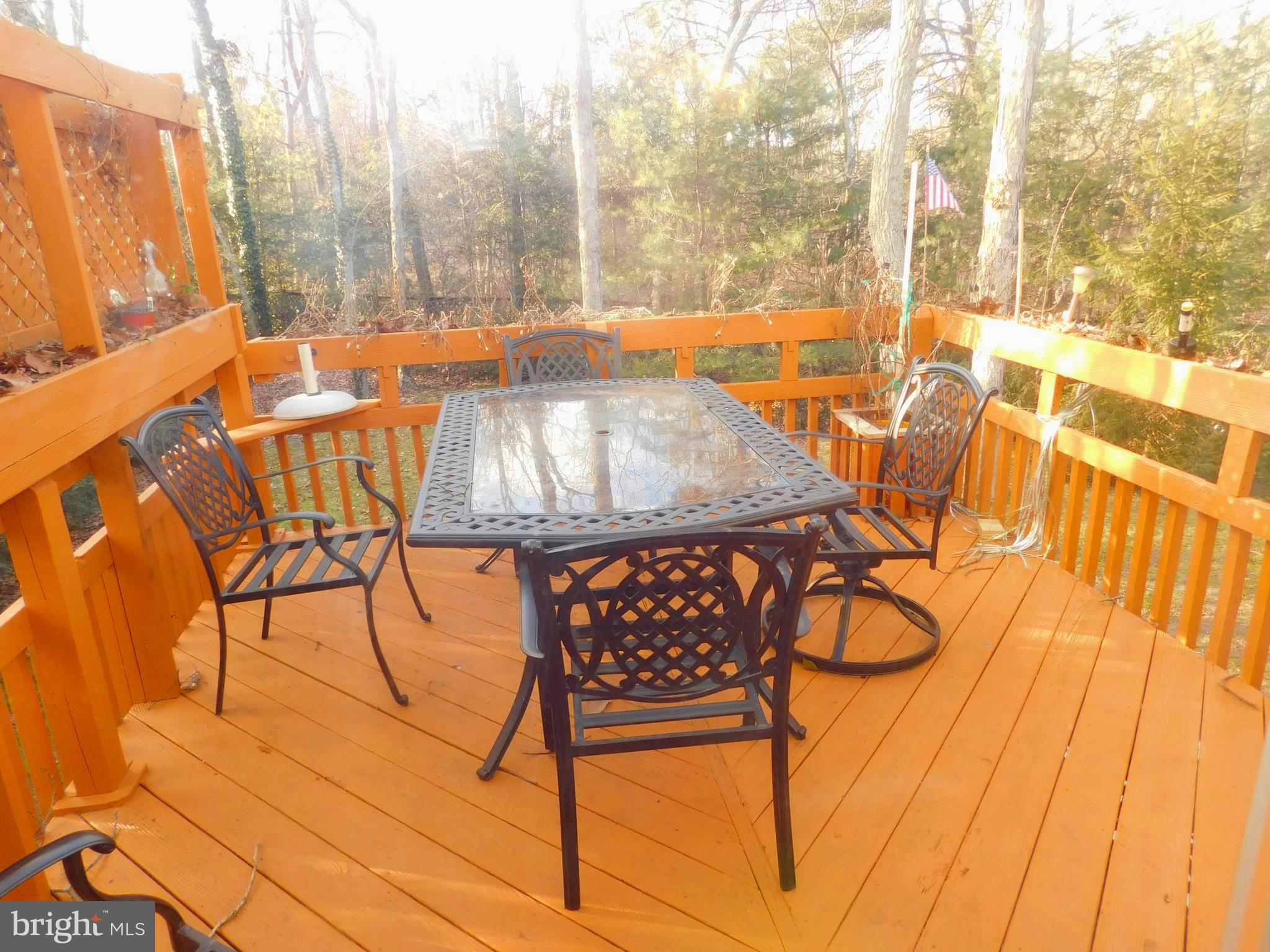 830 Hopewell Road Marlton, NJ 08053 - Photo 9 of 42 Deck outside of the dining room