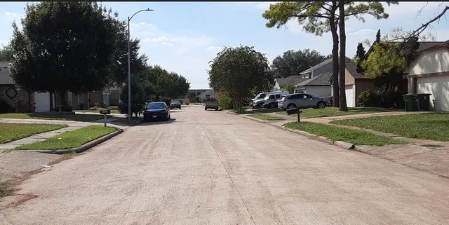 a view of a park with plants and trees